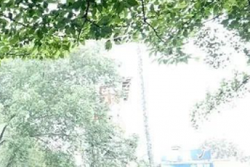 被智能時(shí)代遺忘，一群老人的“AI求生記”