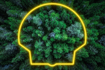 碳信用質(zhì)量迷霧如何破？殼牌研討會揭曉企業(yè)脫碳關鍵防線