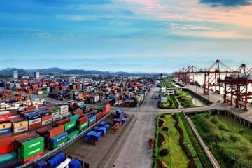 汪鳴：國家骨干冷鏈物流網(wǎng)絡(luò)成型的戰(zhàn)略價值