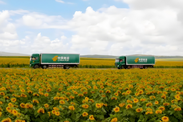 中國郵政：一邊虧錢送快遞，一邊狂賺865億，魔幻現(xiàn)實主義的國家隊巨獸