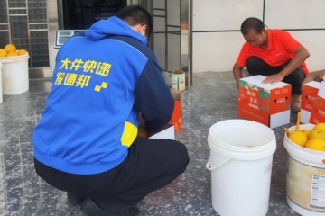 德邦快遞賦能臍橙產(chǎn)業(yè)鏈：用專業(yè)跑出“甜蜜速度”