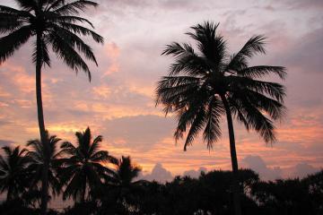 45倍躍升+17.8%毛利！中國物流企業(yè)激戰(zhàn)東南亞千億市場