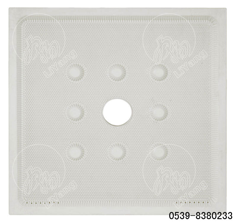 中進(jìn)料橡式濾板