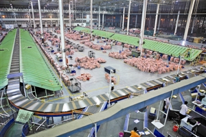 傾斜托盤式分揀機(jī) 自動(dòng)分揀機(jī)