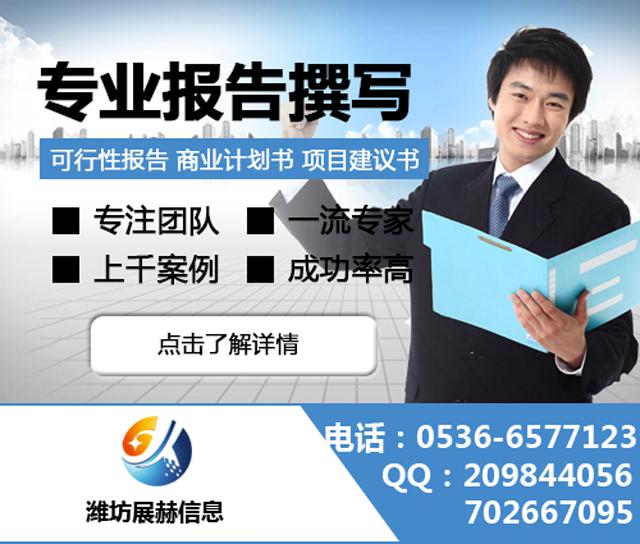 代寫融資計(jì)劃書,代寫商業(yè)計(jì)劃書，代寫可行性報(bào)告，代寫政府立項(xiàng)報(bào)告