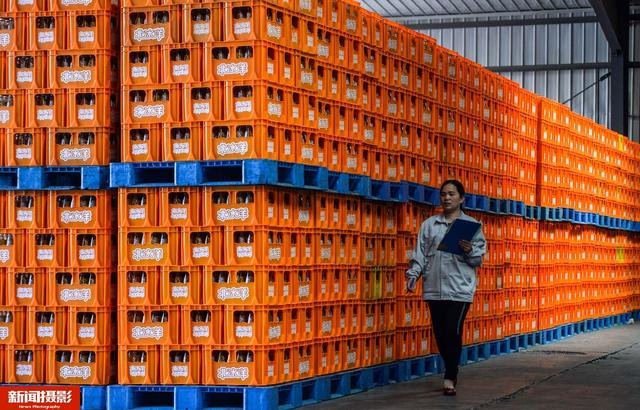 1米2*1米網(wǎng)格川字【叉車板】重慶賽普廠家直供