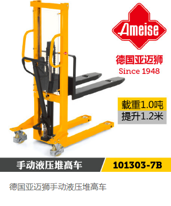 山東青島比亞迪德國亞邁獅