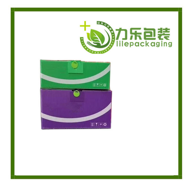 菏澤綠色中空板周轉(zhuǎn)箱