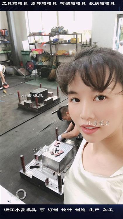 供應(yīng)塑料箱子注塑模具 周轉(zhuǎn)箱塑膠模具