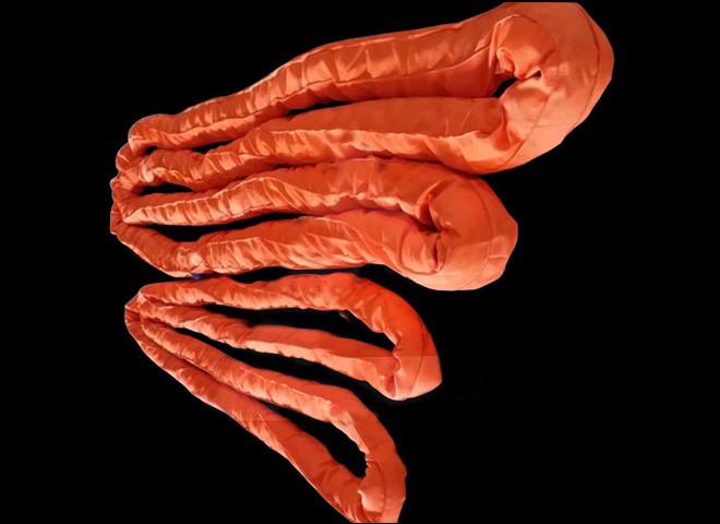 迪尼瑪?shù)跹b帶的特點(diǎn)及應(yīng)用