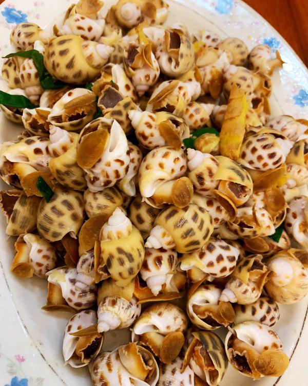 巴基斯坦花螺進(jìn)口阿富汗報(bào)關(guān)