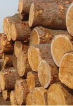 張家港木材進(jìn)出口代理公司