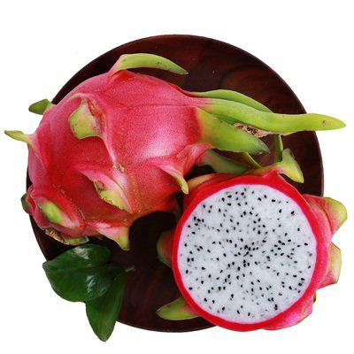 天津港進(jìn)口越南火龍果巨無霸生鮮大果熱帶水果紅心報(bào)關(guān)清關(guān)