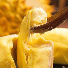 廣東進口空運冷鏈液氮冷凍新鮮水果馬來西亞榴蓮報關清關