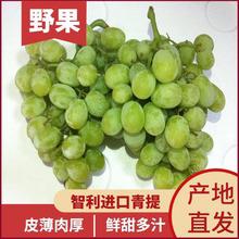 青島港進(jìn)口日本晴王香印青提當(dāng)天現(xiàn)摘禮盒水果店葡萄報(bào)關(guān)
