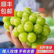 青島港進(jìn)口日本晴王香印青提當(dāng)天現(xiàn)摘禮盒水果店葡萄報(bào)關(guān)