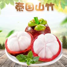 廣州港進(jìn)口泰國山竹熱帶水果寶寶輔食油竹麻現(xiàn)摘當(dāng)季報關(guān)清關(guān)
