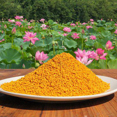 常州港進(jìn)口美國(guó)蜂花粉食品蜂蜜零食休閑食品商超報(bào)關(guān)