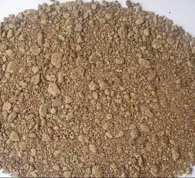 天津港進口白豌豆雙低菜粕甜菜粕棕櫚粕所羅門群島椰子粕報關(guān)報檢