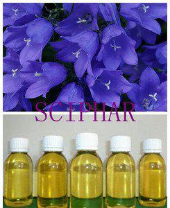 廣州進口做皂材料原料基底油基礎(chǔ)油琉璃苣油德國報關(guān)報檢