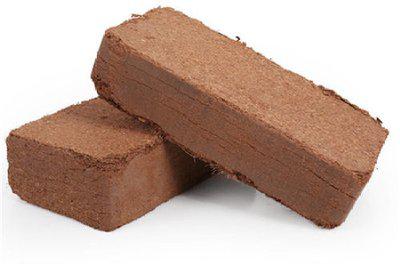 鄭州進(jìn)口印尼東南亞椰絲椰糠藍(lán)莓種植印度清關(guān)物流倉儲