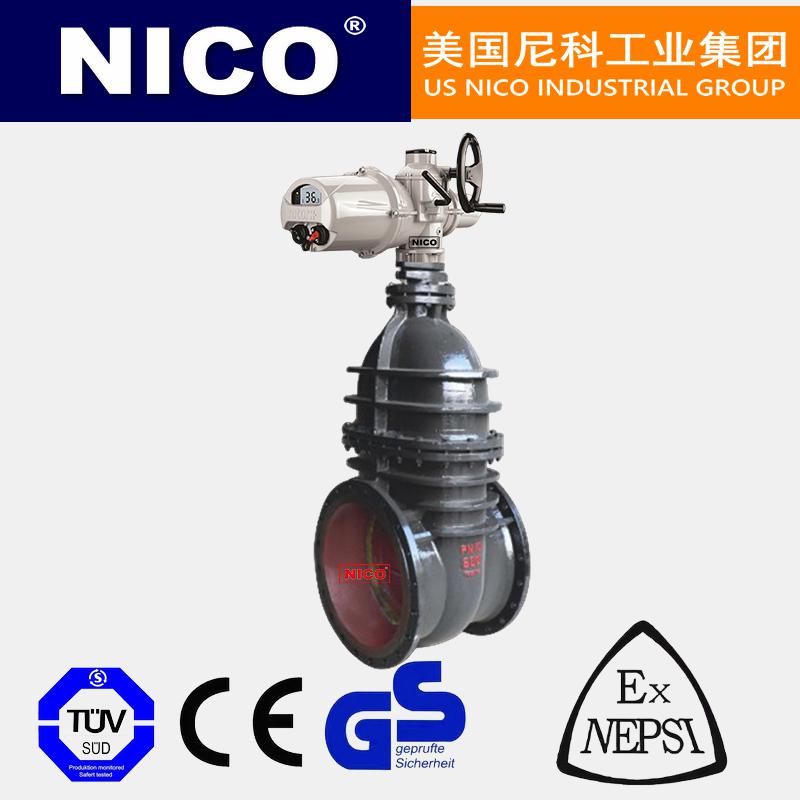 進(jìn)口電動(dòng)鑄鐵閘閥