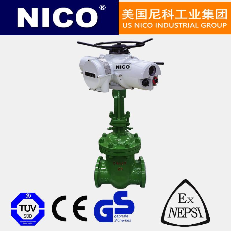 進(jìn)口電動(dòng)真空閘閥