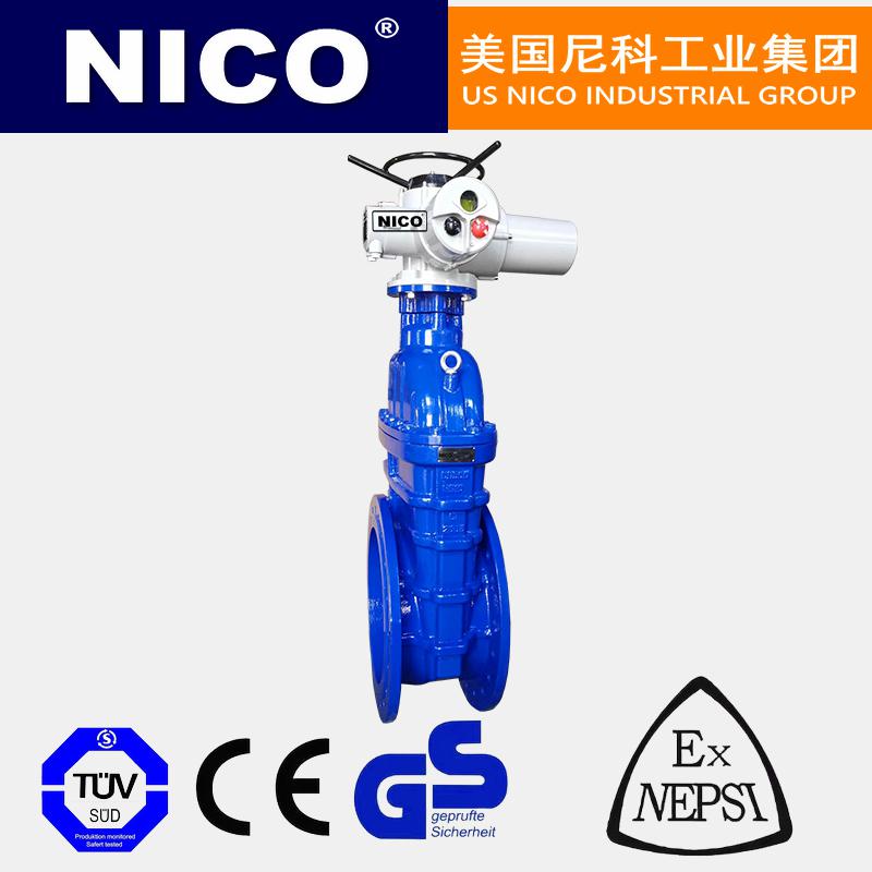 進(jìn)口暗桿電動(dòng)閘閥