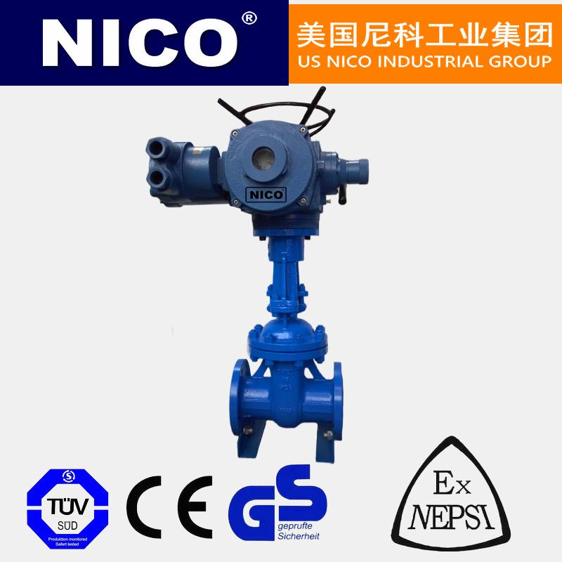 進(jìn)口鋼制電動(dòng)楔式閘閥