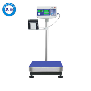 英鵬防爆打印秤-EXBZ-500/30TWI-700C