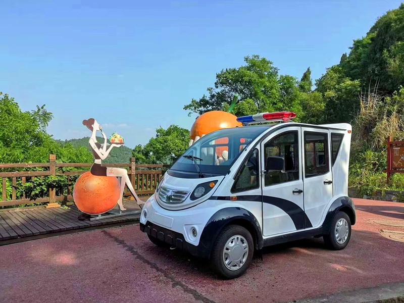 四輪四座電動(dòng)巡邏車 城管巡邏電瓶車