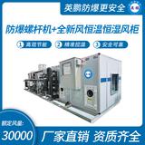 防爆螺桿機(jī)+全新風(fēng)恒溫恒濕風(fēng)柜