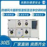 防爆風(fēng)冷直膨恒溫恒濕潔凈空調(diào)機組