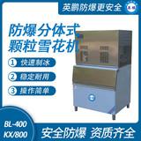 防爆分體式顆粒雪花機(jī)