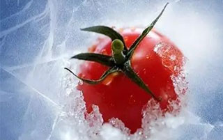 深圳冷鏈物流，冷藏運輸溫度要求