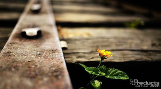 1593487250459063.jpg 2.jpg