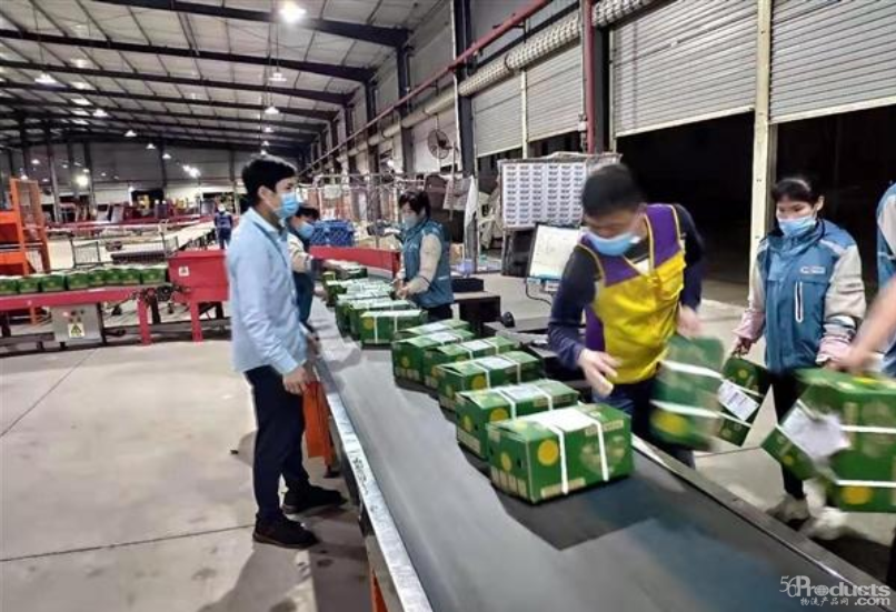 1595403958118311.png 4.png