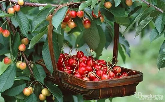 1616468430112136.jpg 6d100010c5c3573775a.jpg