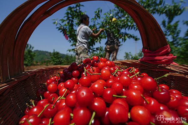 1616468461904743.jpg sp53-heirxyf6170891.jpg