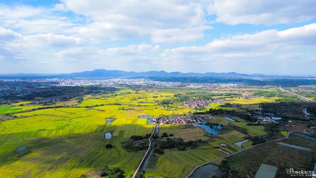 1647835142889854.jpg 微信圖片_20220321120156.jpg