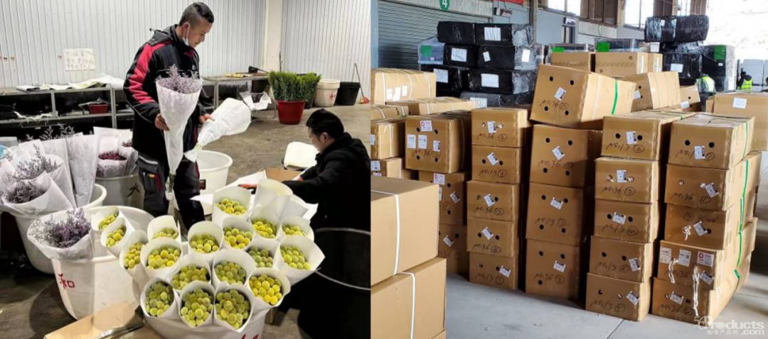 1652411588675082.png 微信圖片_20220513111607.png