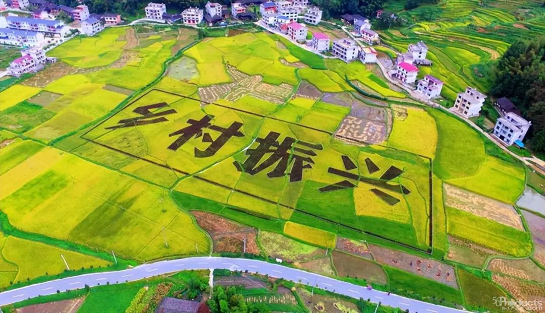 1669779490129912.jpg 666.jpg