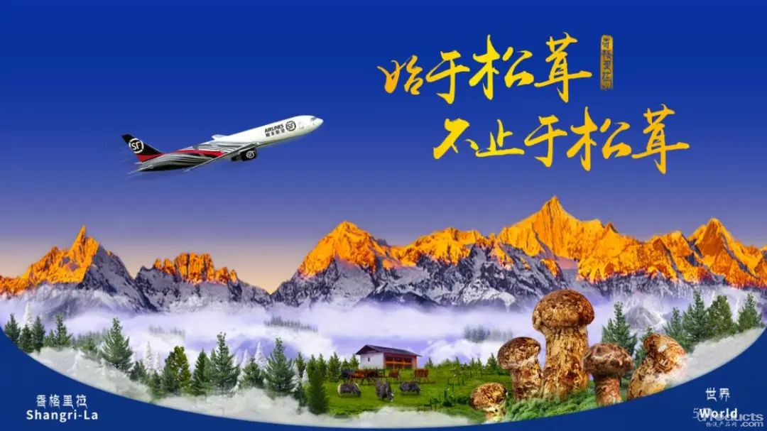 1687785844748236.jpg 640 (2).jpg