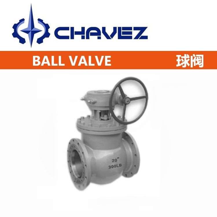 1707204081618581.jpg 308.jpg