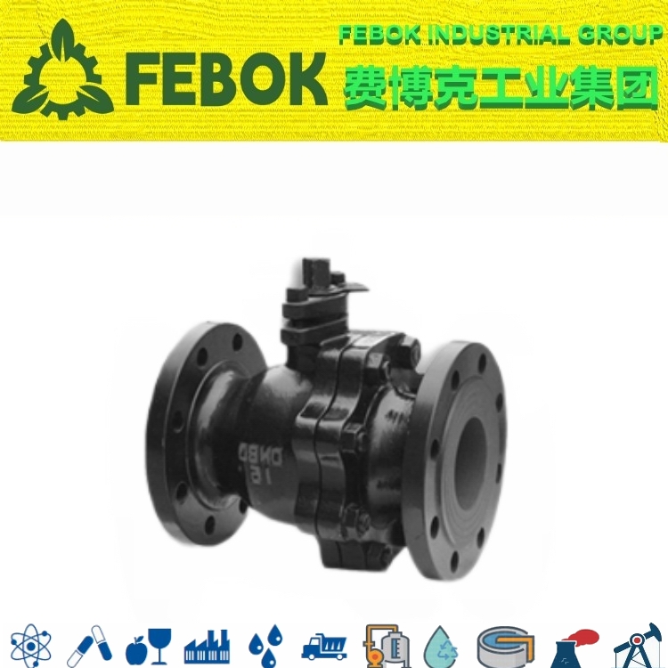進(jìn)口鑄鐵法蘭球閥.jpg