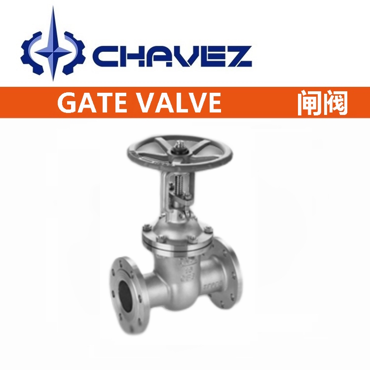 進(jìn)口不銹鋼法蘭閘閥.jpg