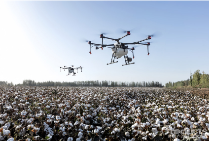 1741163175125605.png image.png